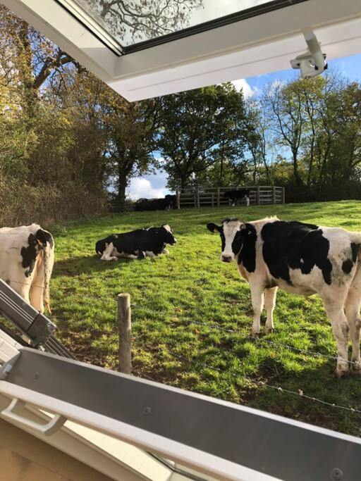 The Roost - A Bird'S Eye View In The Countryside Lejlighed Cullompton Eksteriør billede