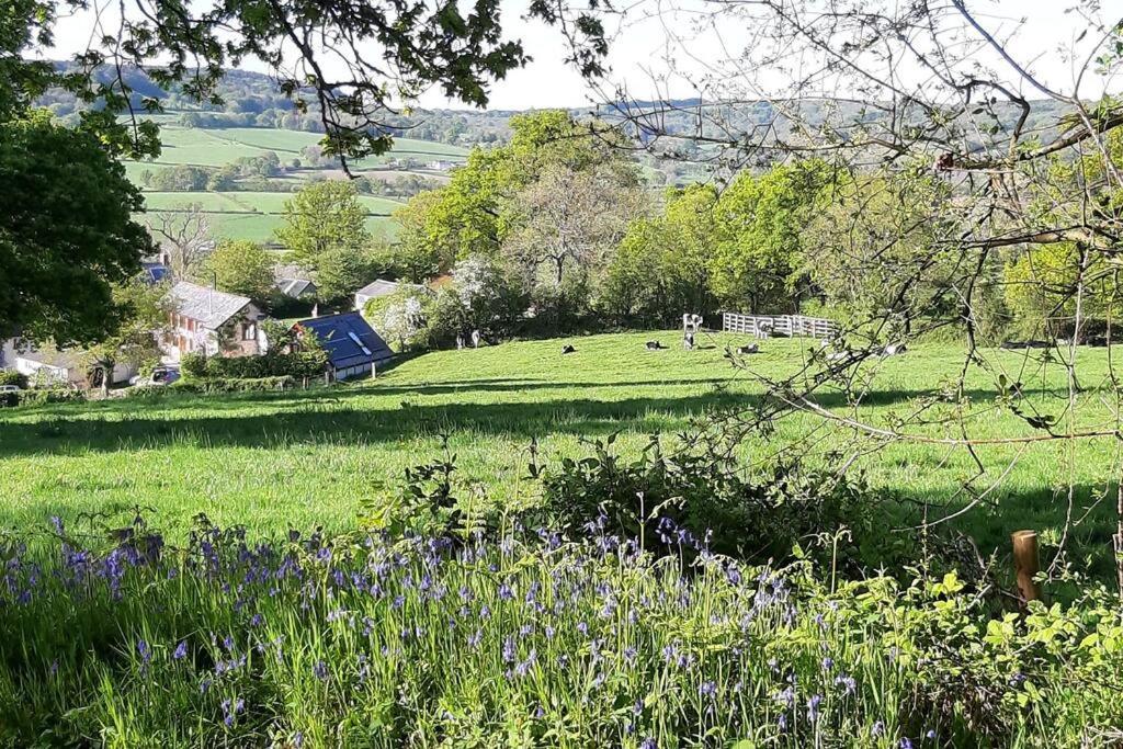 The Roost - A Bird'S Eye View In The Countryside Lejlighed Cullompton Eksteriør billede